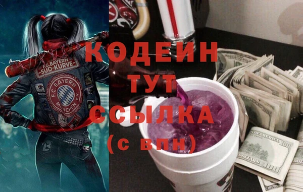 спиды Няндома